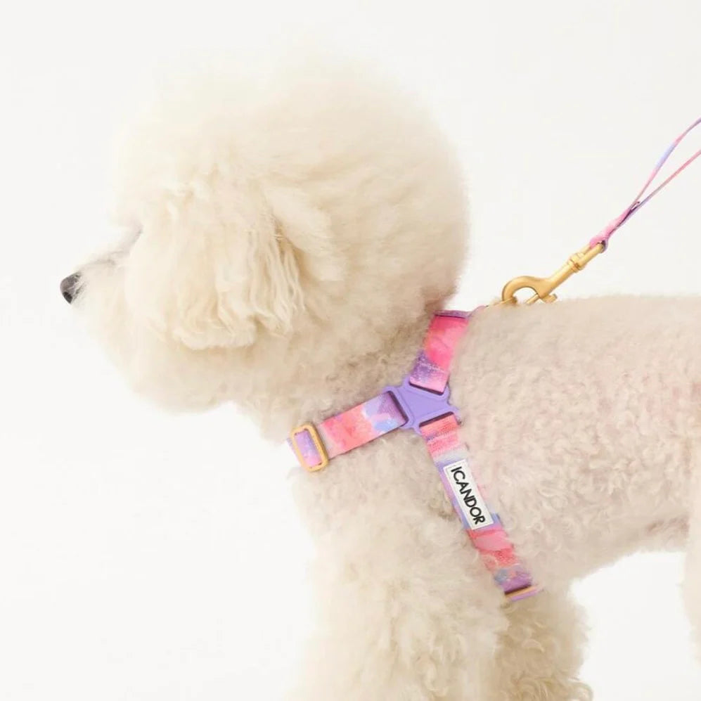 iCANDOR Milky Way Harness