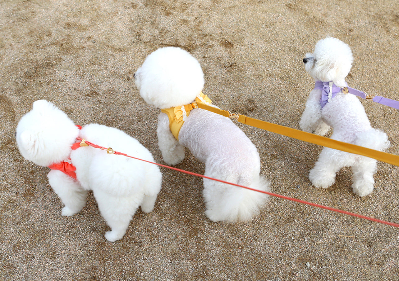 ItsDog Daisy Frill Harness