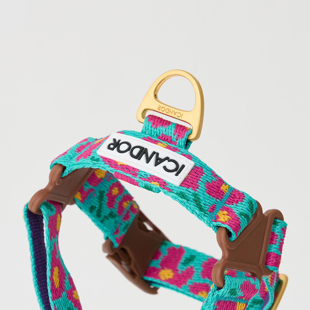 iCandor Big Fish Mint Harness