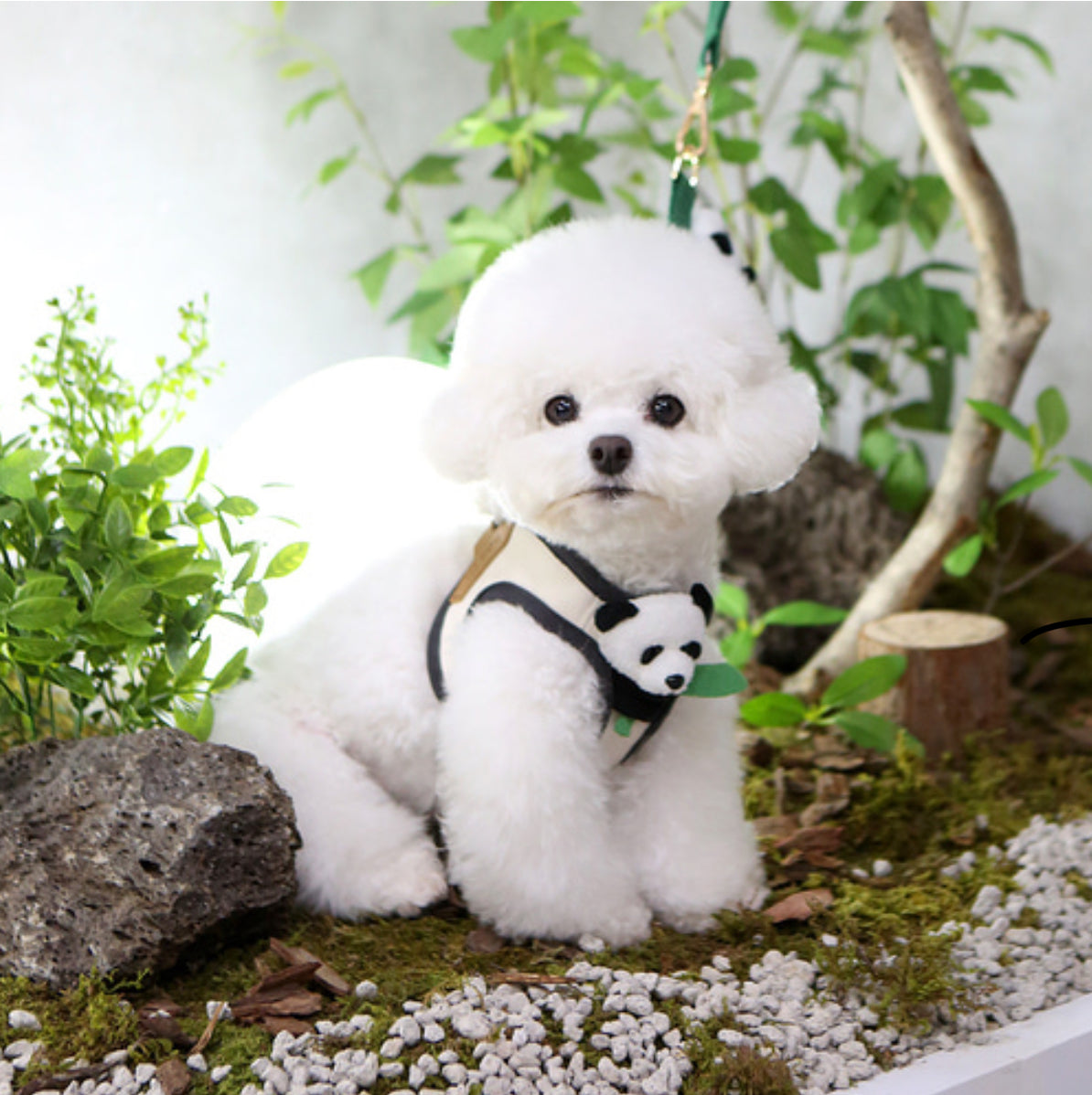 ItsDog Panda Bear Harness