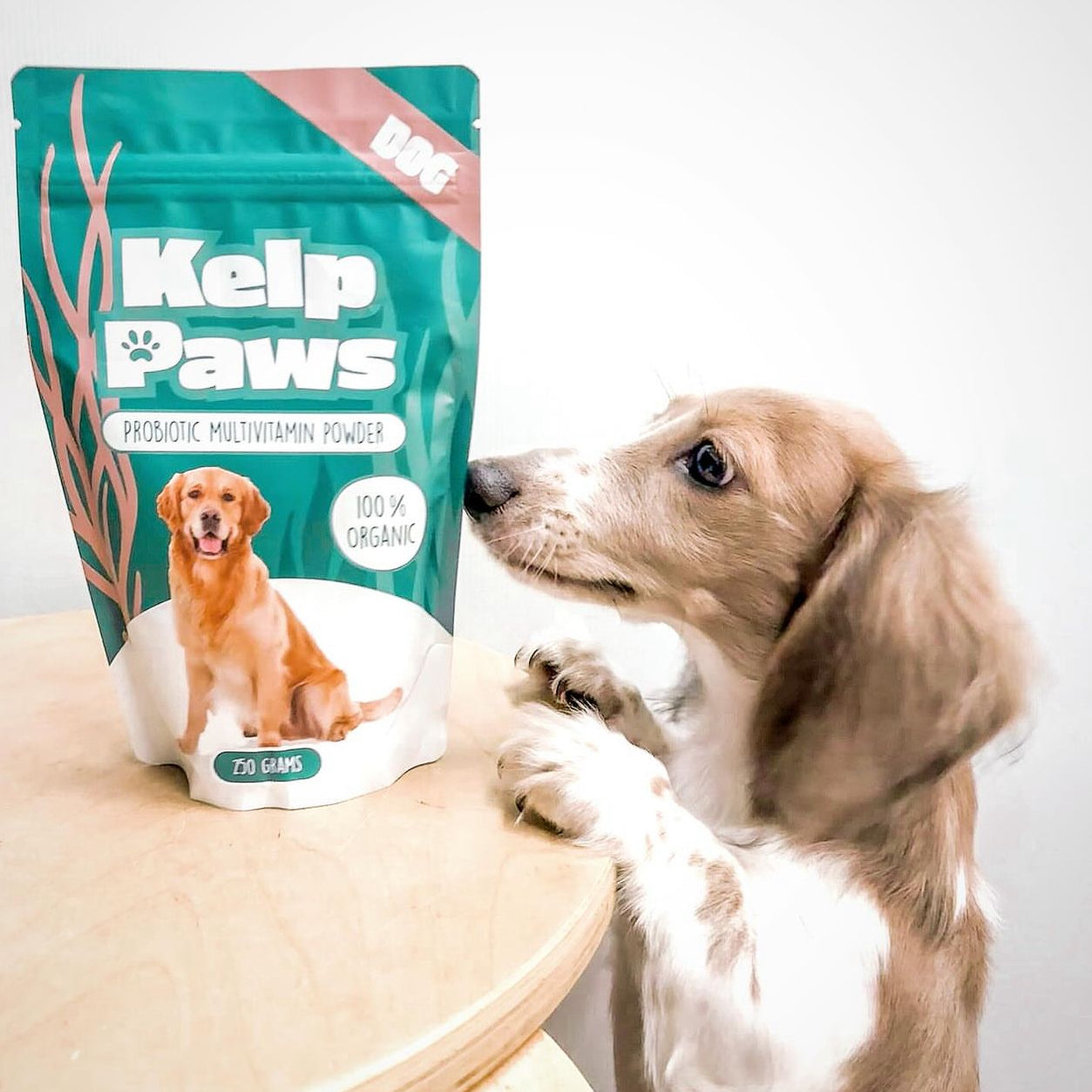 Kelp Paws Dog Probiotic Multivitamins 250g