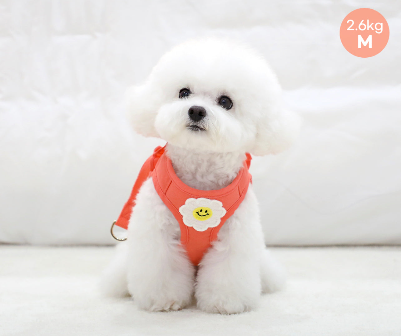 ItsDog Daisy Frill Harness