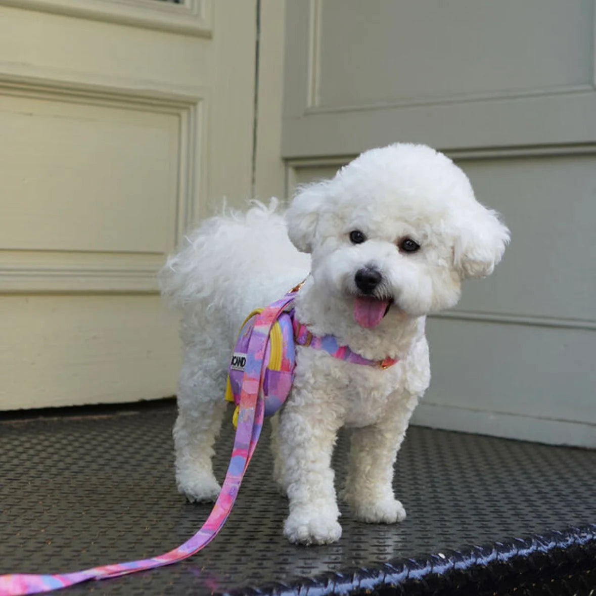 iCANDOR Milky Way Harness