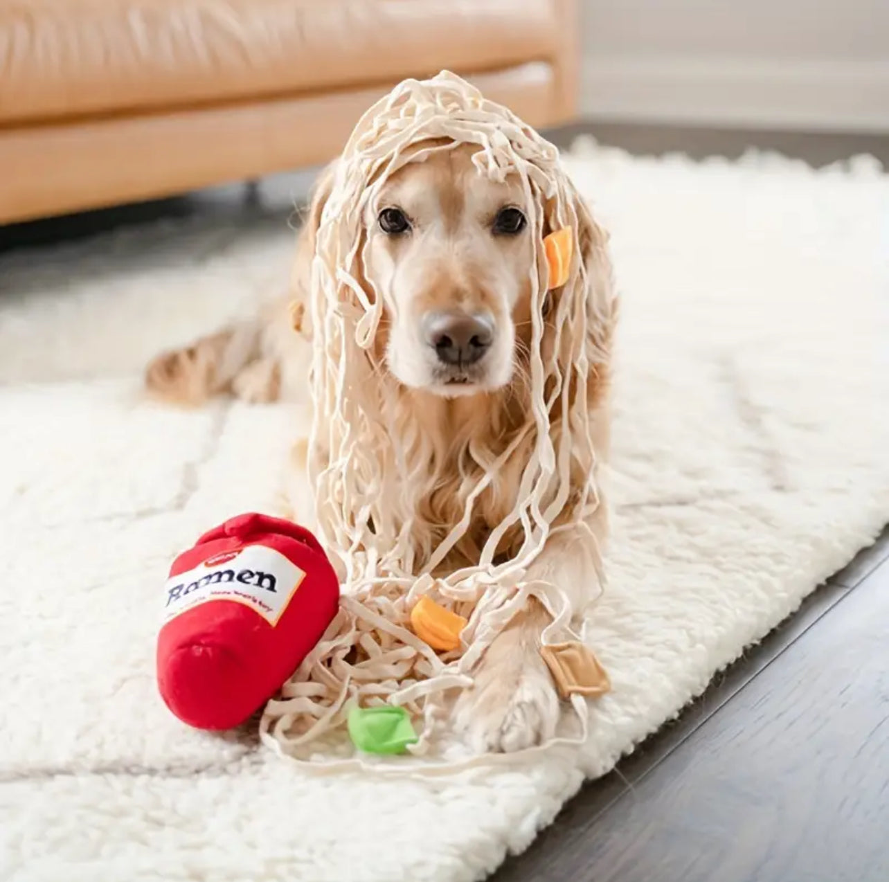 Ramen Noodles Nosework Snuffle Toy