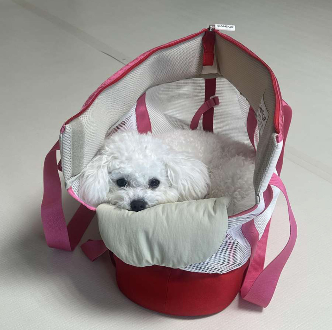 iCANDOR Brisbane Pet Bag Flamingo Pink