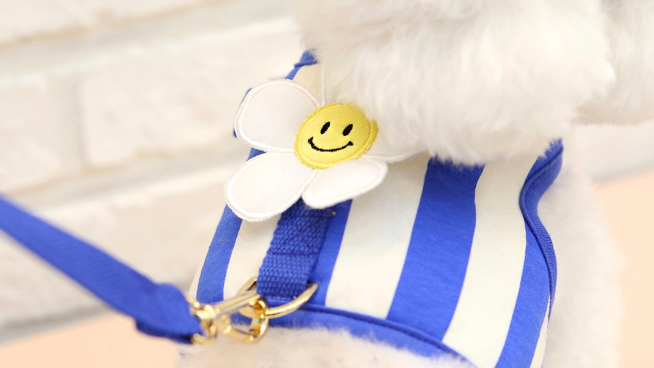 ItsDog Smile Daisy Harness