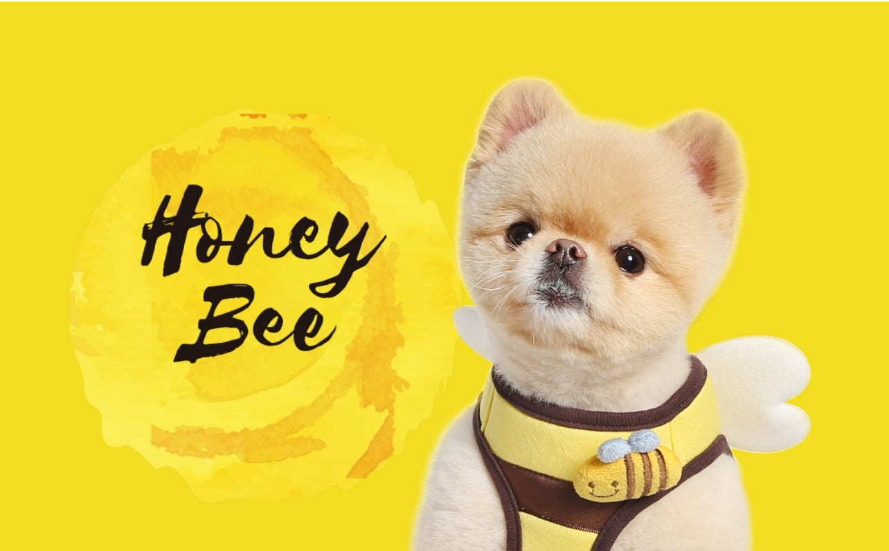 ItsDog Honey Bee LEASH ONLY (120cm)