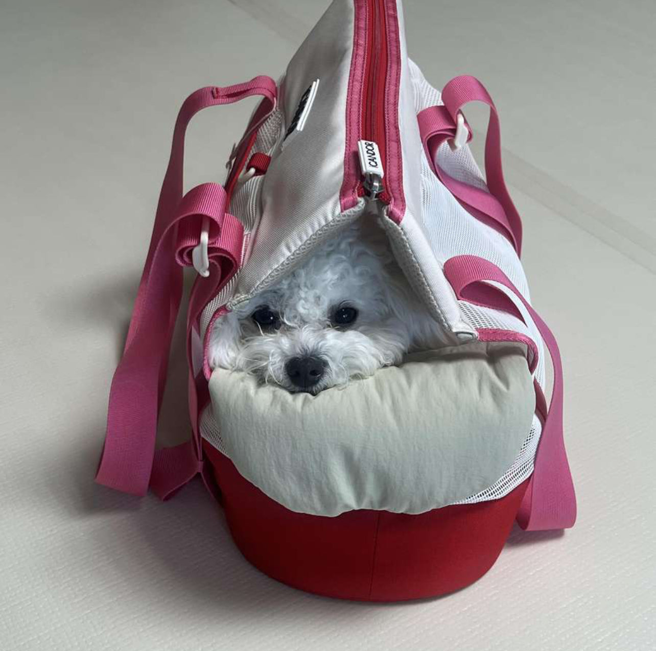 iCANDOR Brisbane Pet Bag Flamingo Pink