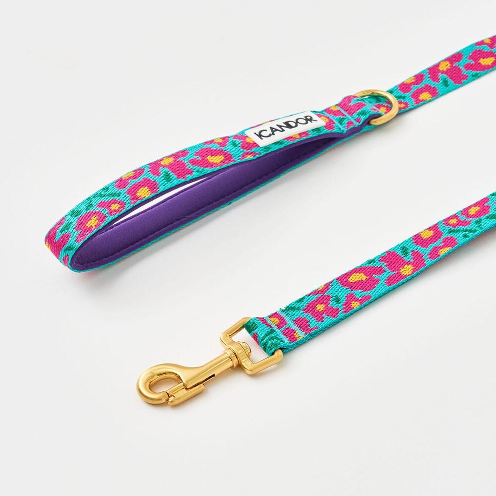 iCANDOR Big Fish Mint Leash