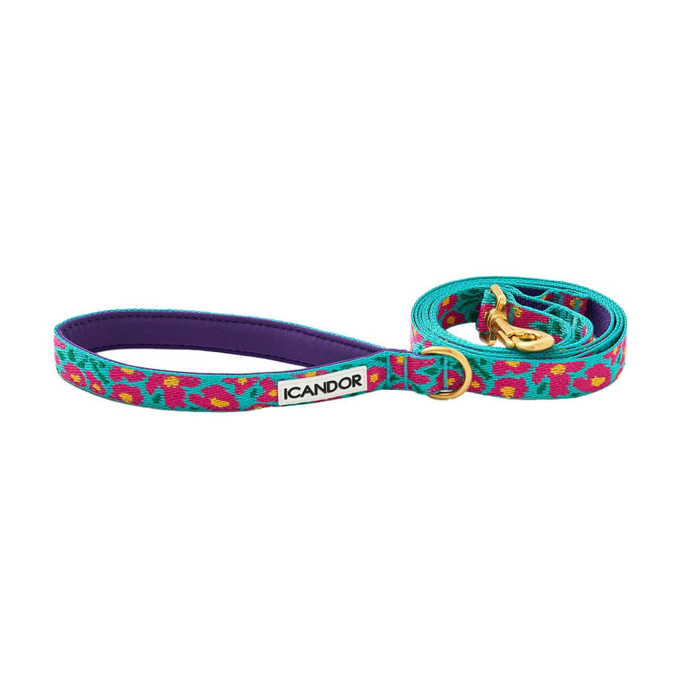 iCANDOR Big Fish Mint Leash