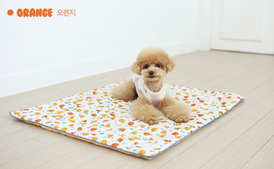 Its Dog Rayon Cooling Mat Large (Orange)