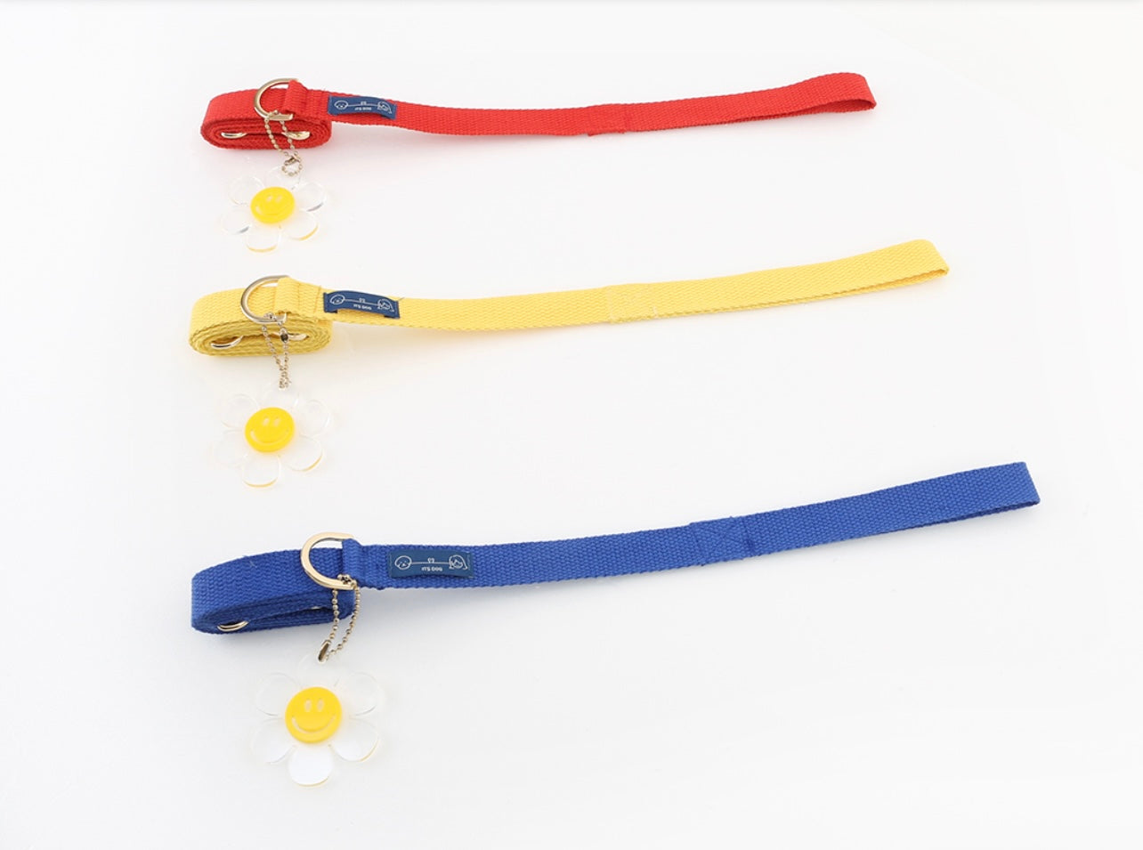 ItsDog Smile Daisy Leash (120cm)