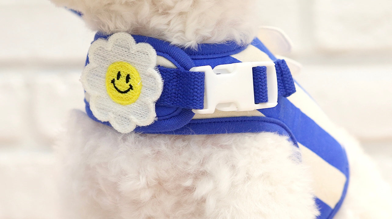 ItsDog Smile Daisy Harness