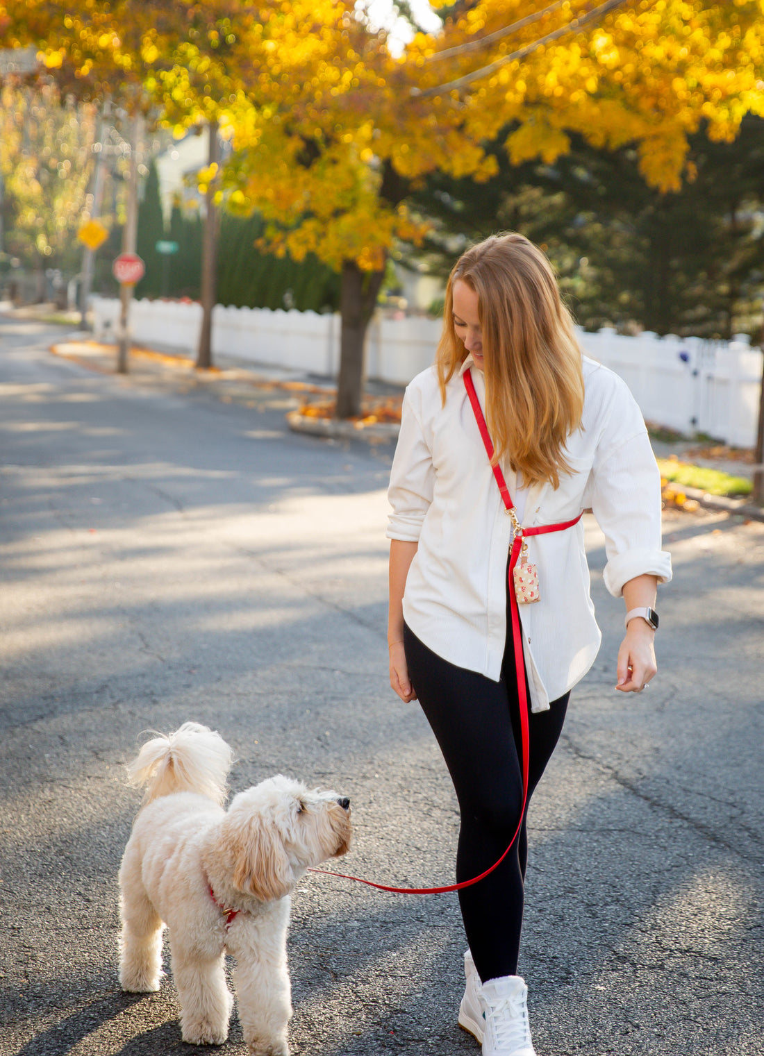 Sunny Tails USA 4-in-1 Convertible Hands Free Cloud Dog Leash (Popular!)*