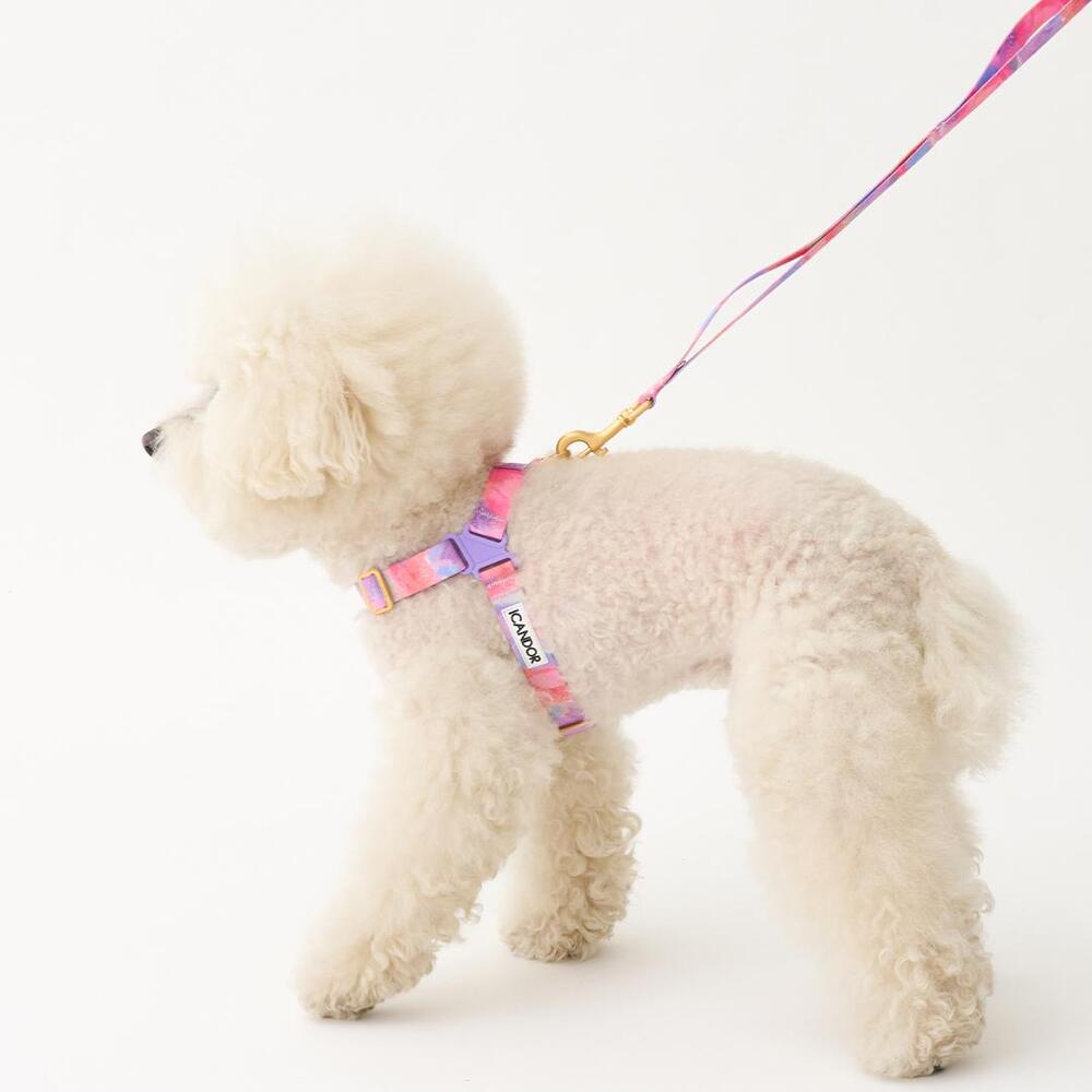 iCANDOR Gentle Leash Milky Way