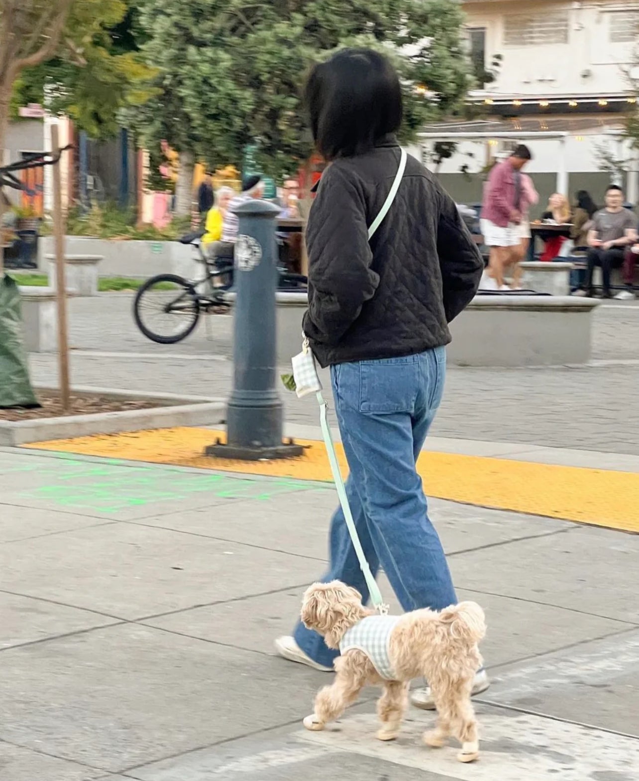 Sunny Tails USA 4-in-1 Convertible Hands Free Cloud Dog Leash (Popular!)*