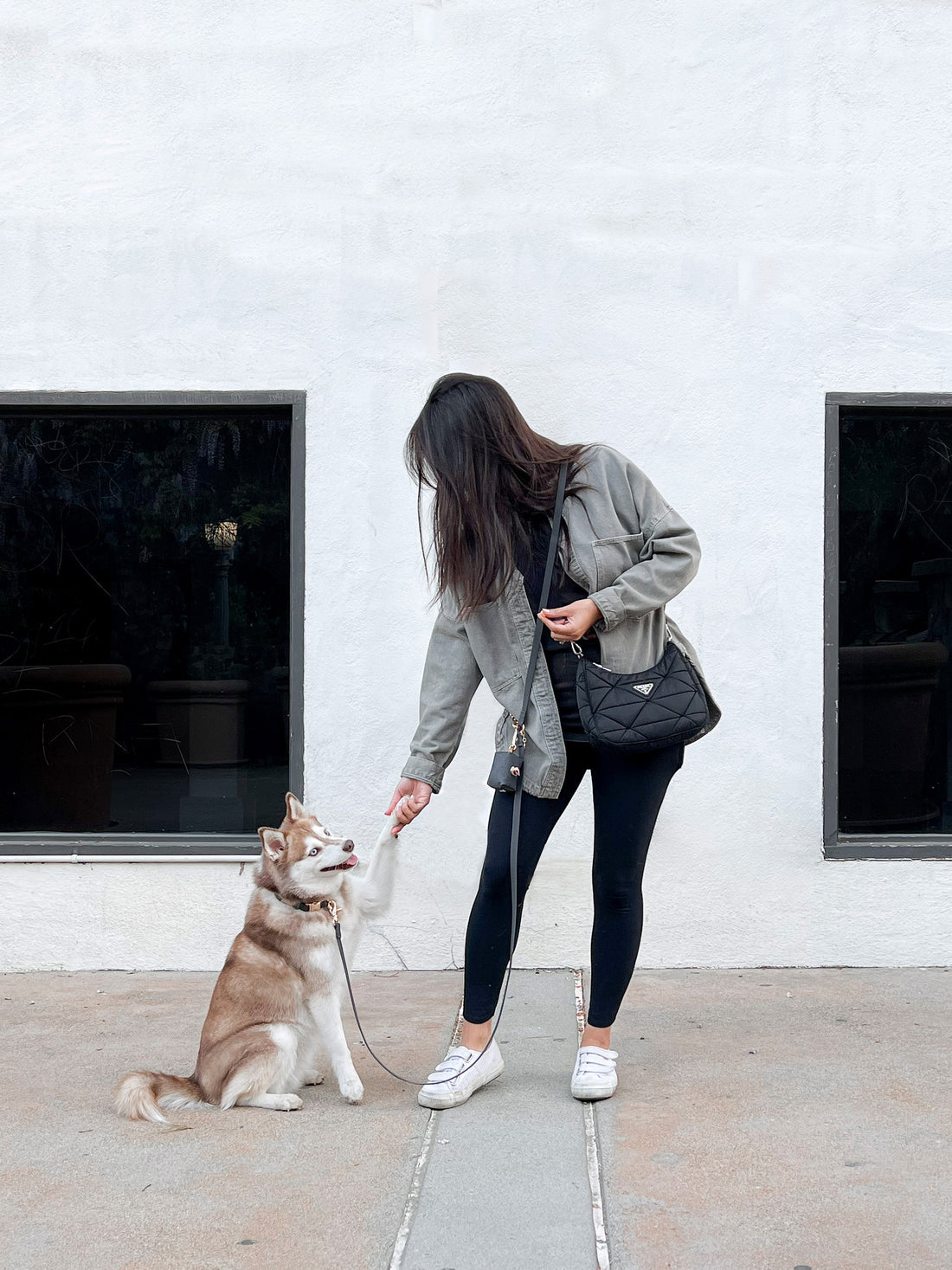 Sunny Tails USA 4-in-1 Convertible Hands Free Cloud Dog Leash (Popular!)*