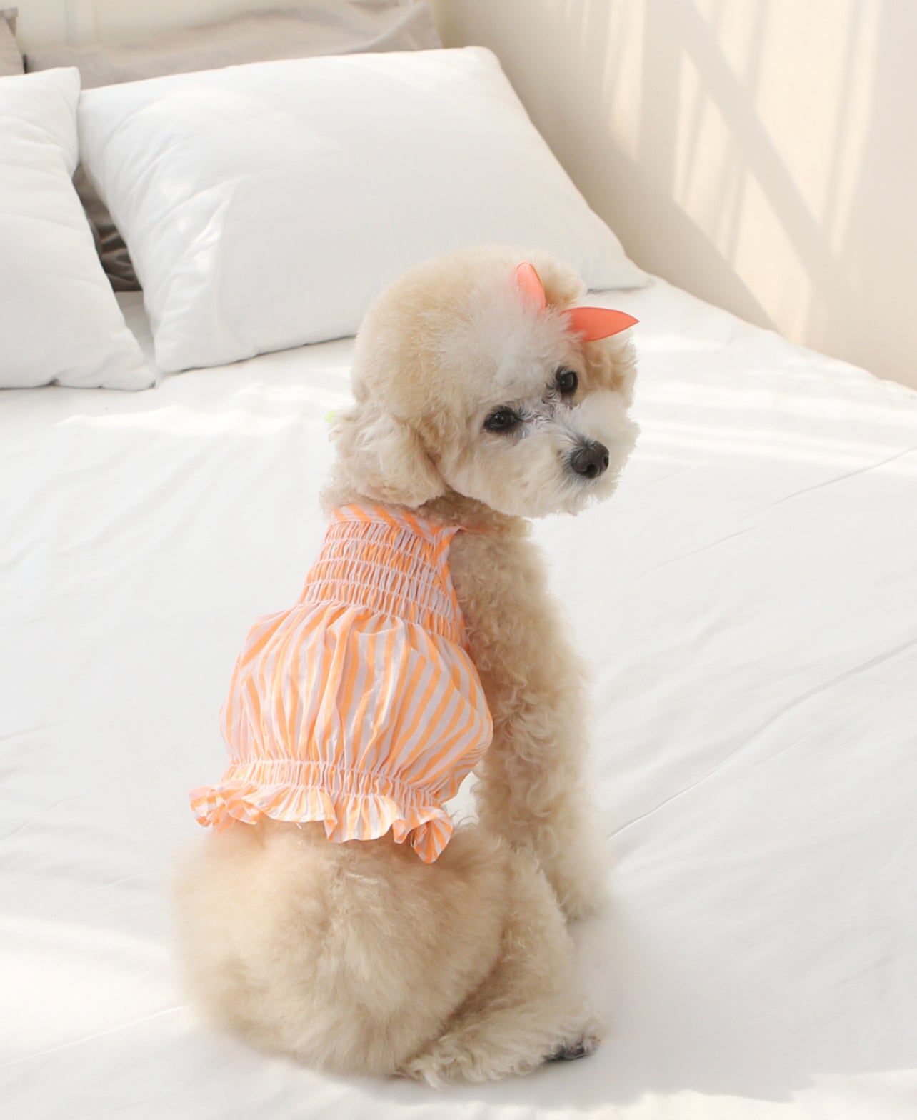 ItsDog Lollipop Frill Sleeveless