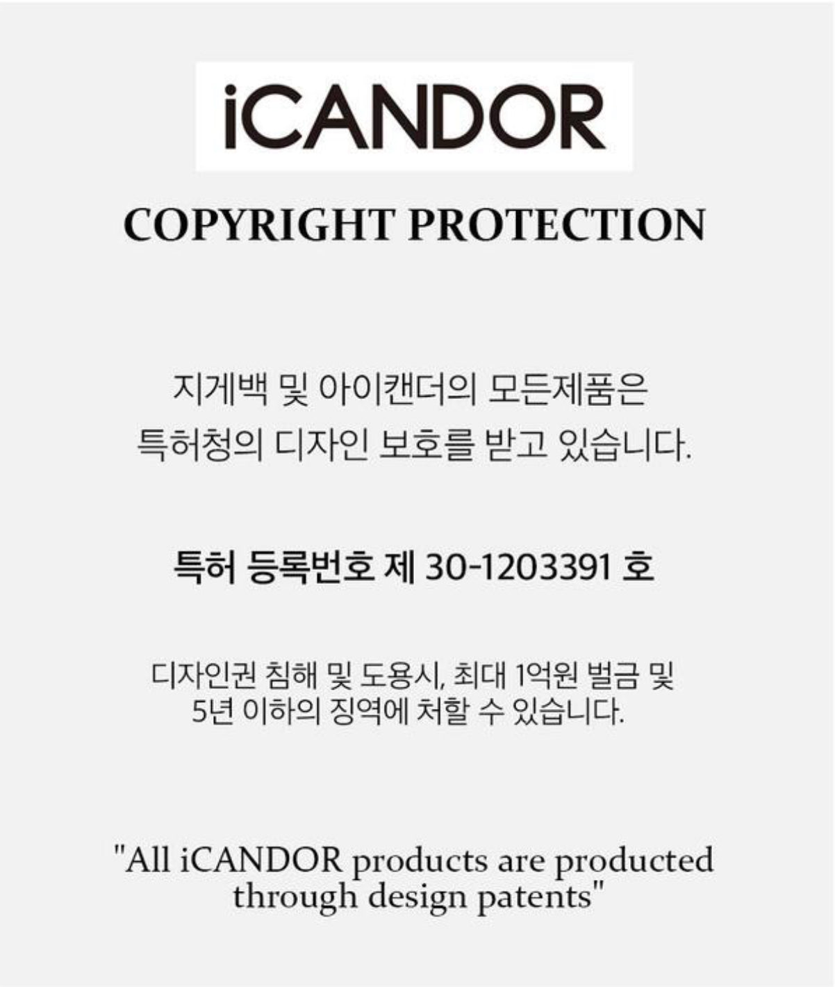 iCANDOR JIGE Backpack BLACK (Large)